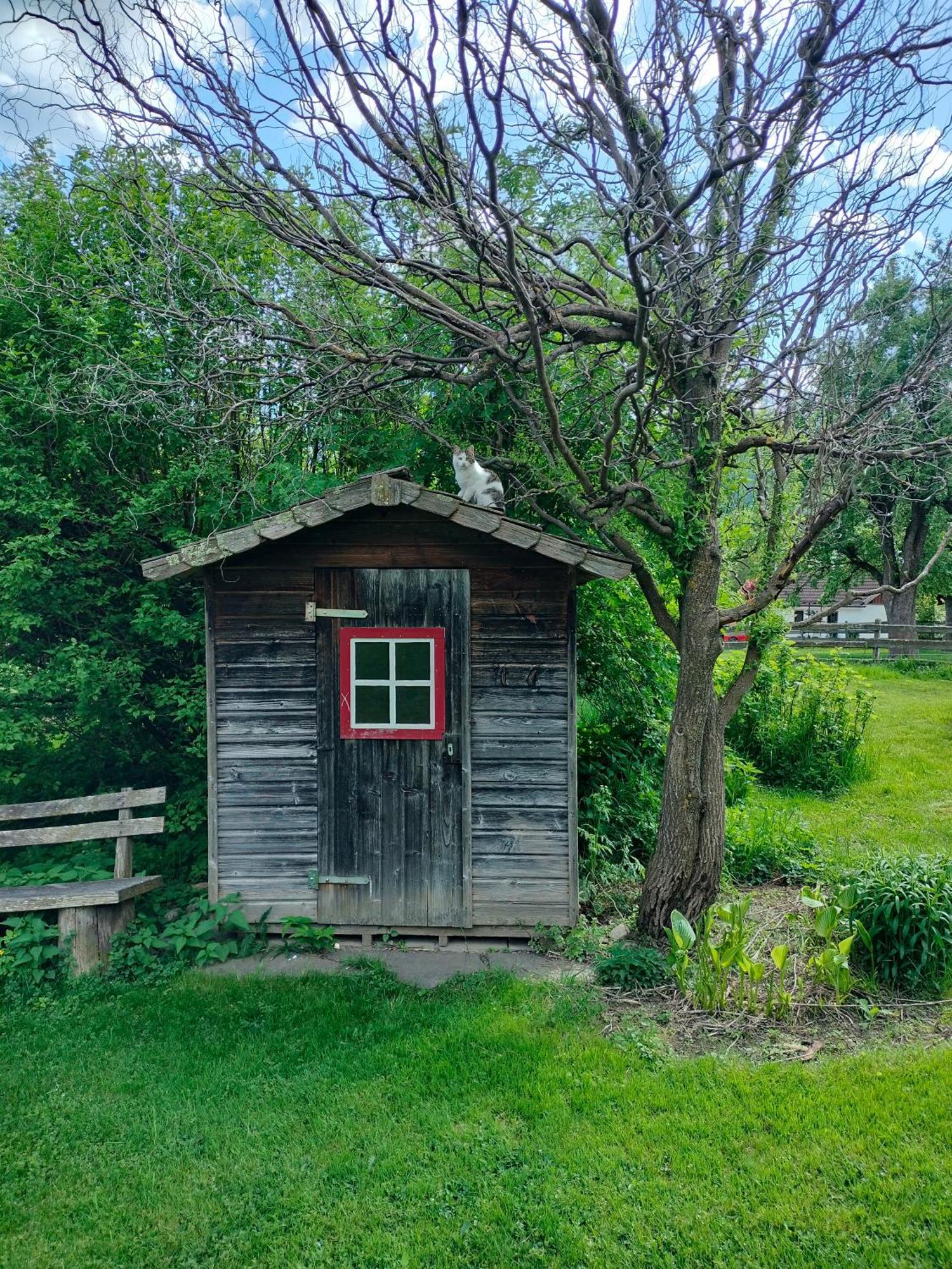 Koestlhof, Familie Hassler Bed & Breakfast Oberdrauburg Bagian luar foto